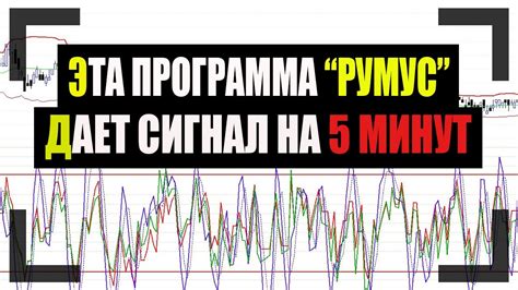 индикаторы сафина румус